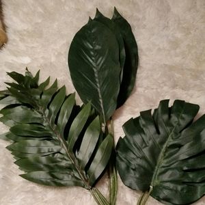 Set of 12 Assorted palms